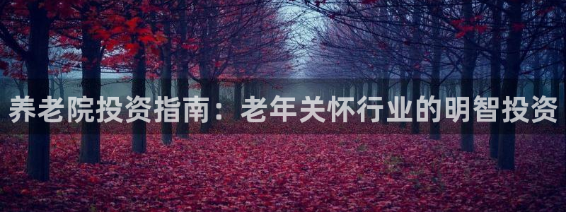 韦德1946手机