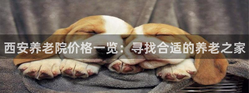 韦德游戏大厅