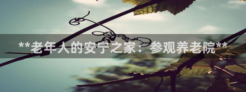 韦德全系列