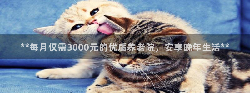 韦德1946