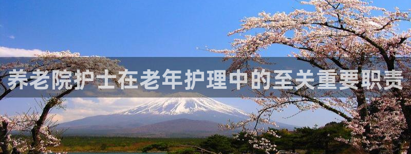 韦德官网注册推荐网站是什么