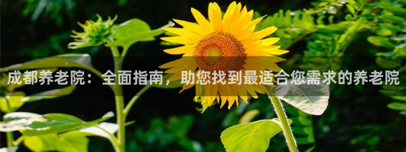 韦德app手机下载