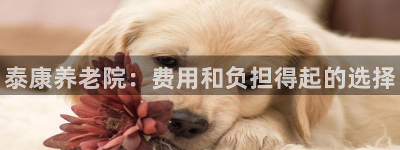 韦德1946官方网站