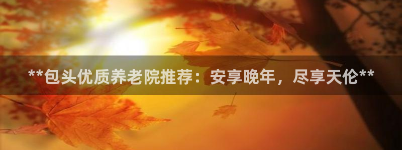 韦德是哪个