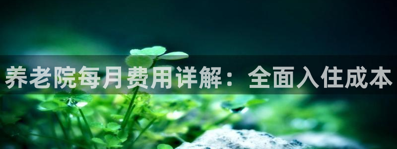 韦德1946bet