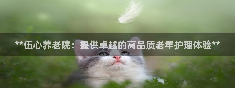 韦德官方网址大全