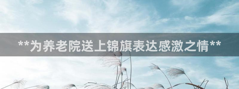 韦德1946手机