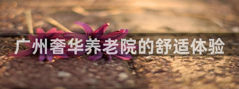 韦德游戏注册是搞什么的