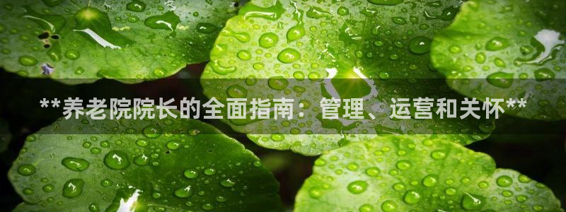 韦德1946下载