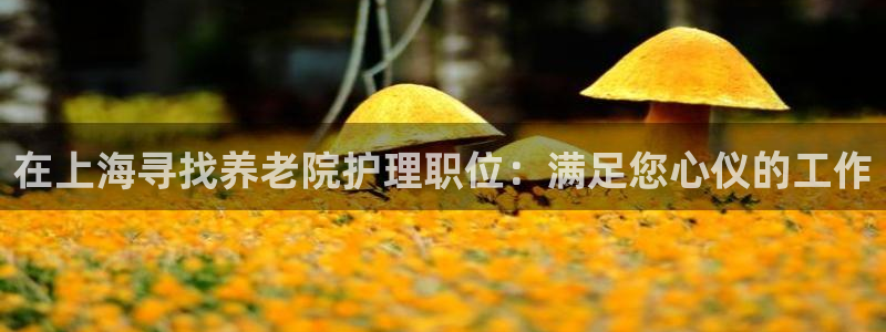 韦德1946博客
