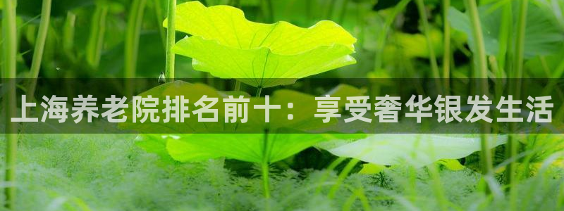 韦德1946客户端