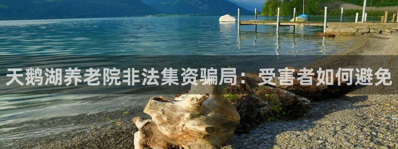 韦德betvlctor1946