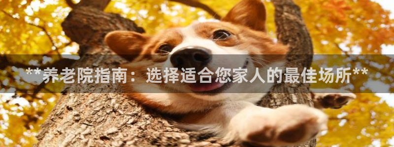 韦德1946手机网址