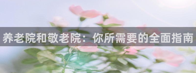 1946韦德游戏