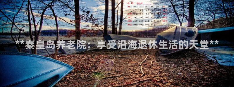 韦德1946下载