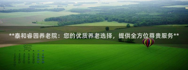 韦德2014