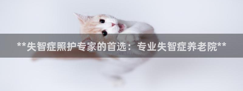 韦德官网注册推荐网站是什么