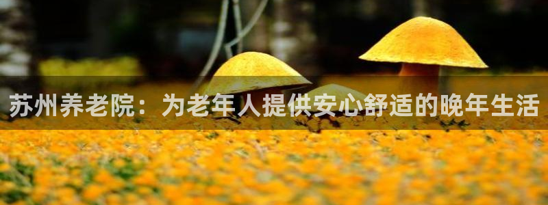 1946韦德找回密码