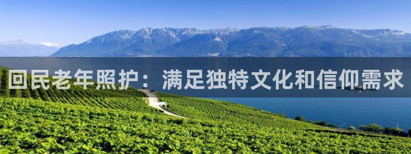 韦德1946体育