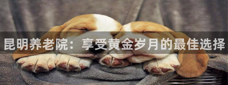 韦德1946备用网站