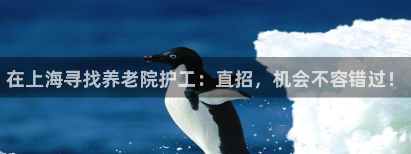 韦德游戏网址