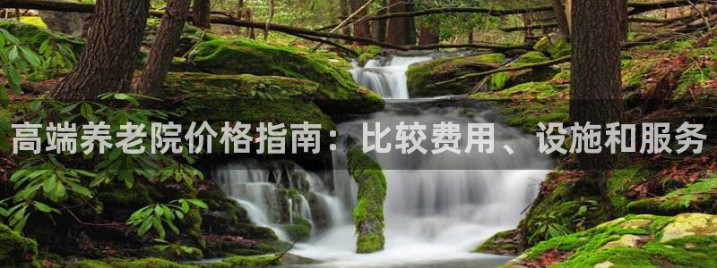 韦德观战总决赛G3