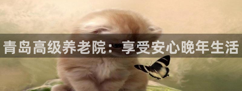 韦德 网站