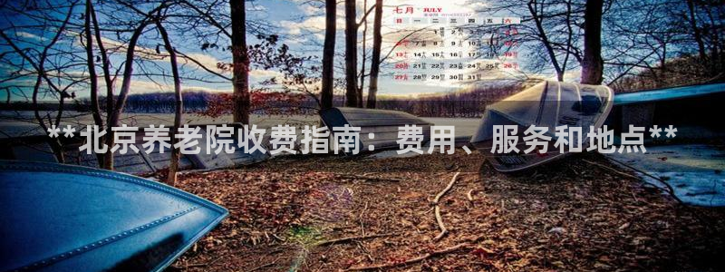 韦德新品
