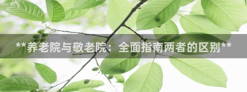 1946韦德网站