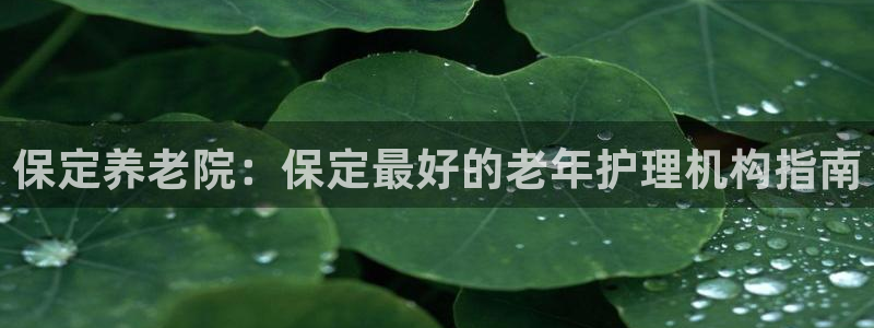 韦德观战总决赛G3
