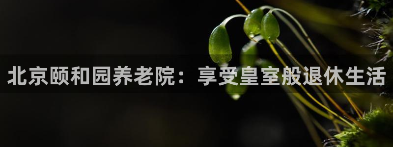 韦德游戏网址