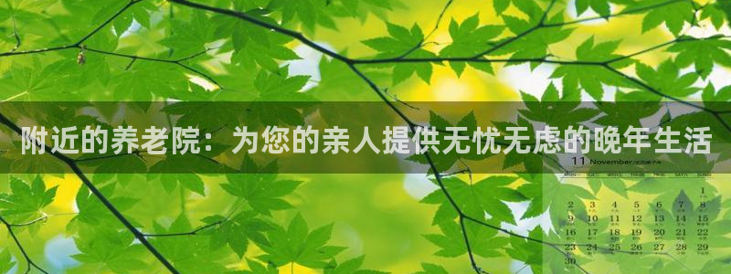 韦德属于什么