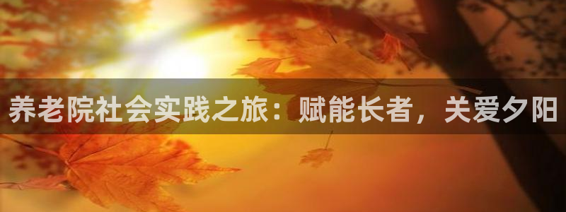 韦德合集