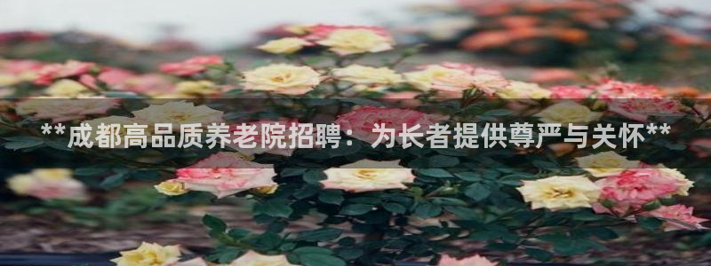 韦德8月22日开启中国行