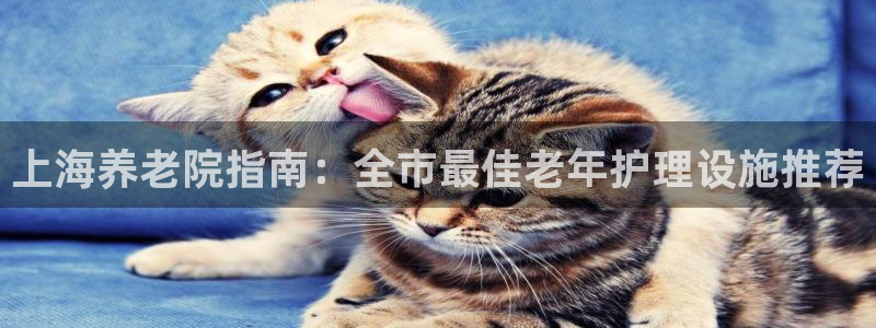 韦德2014