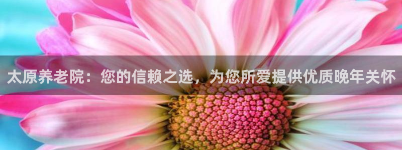 韦德 网址