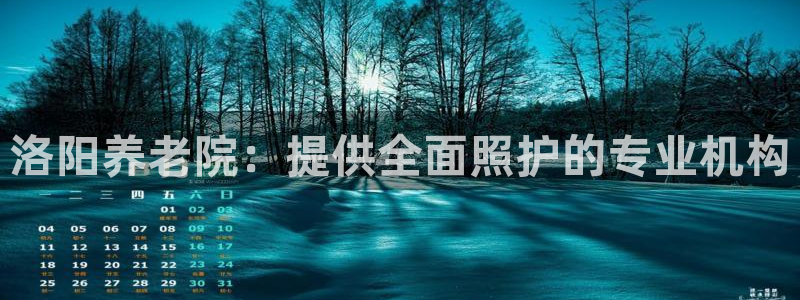 韦德2014