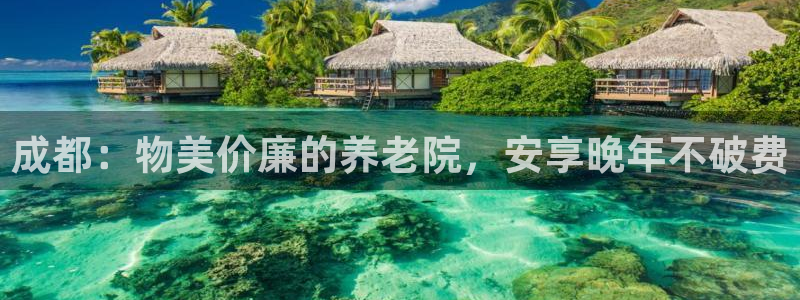 韦德官方网址大全