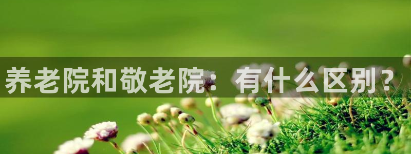 韦德游戏是什么