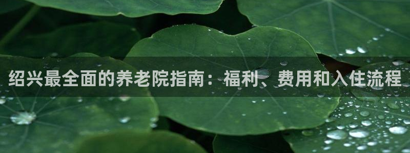 韦德 网站