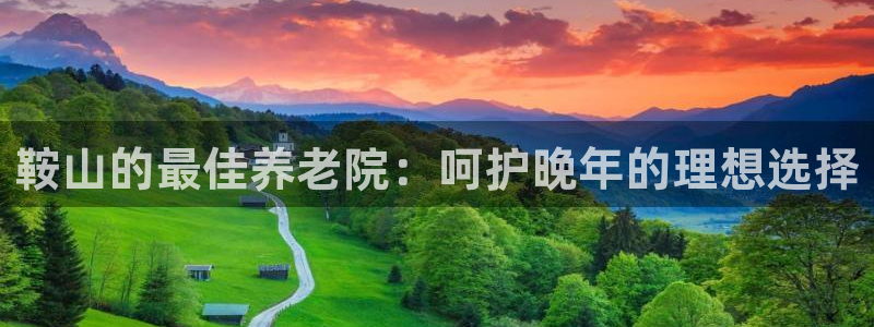 韦德是哪个