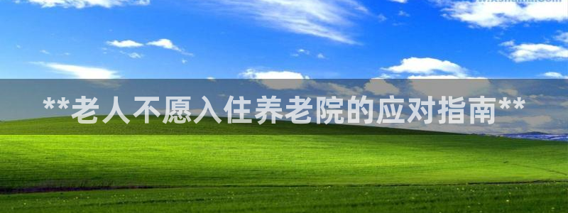 韦德网址