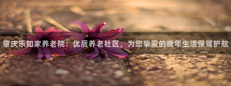 韦德com