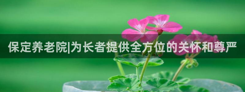 韦德betvlctor1946