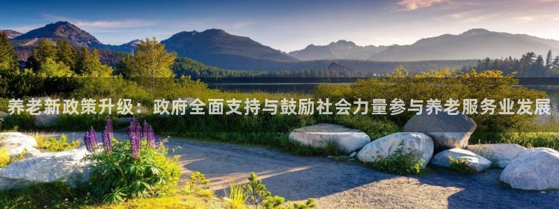 韦德 网址