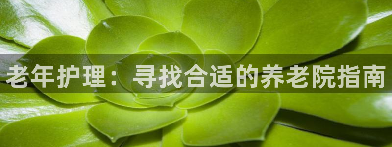 韦德1946国际娱乐