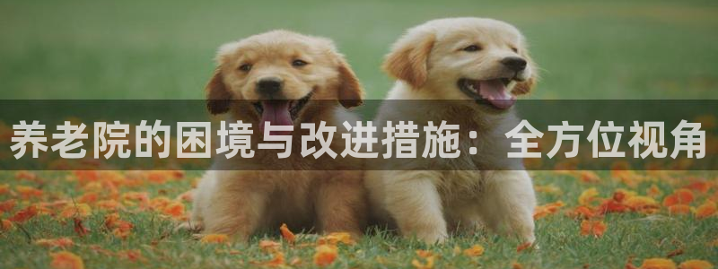 韦德 网址
