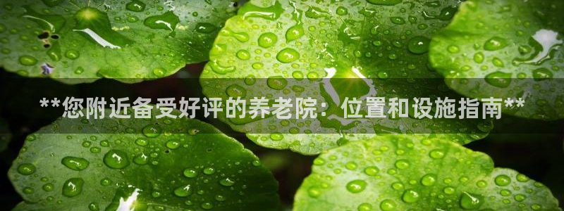 韦德1946国际