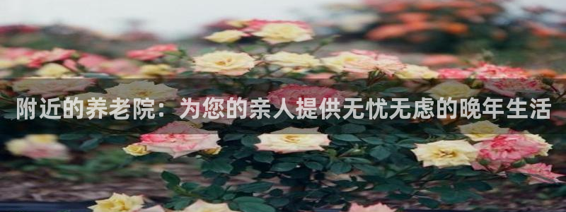 韦德网址是多少