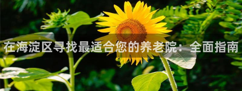 韦德1946娱乐
